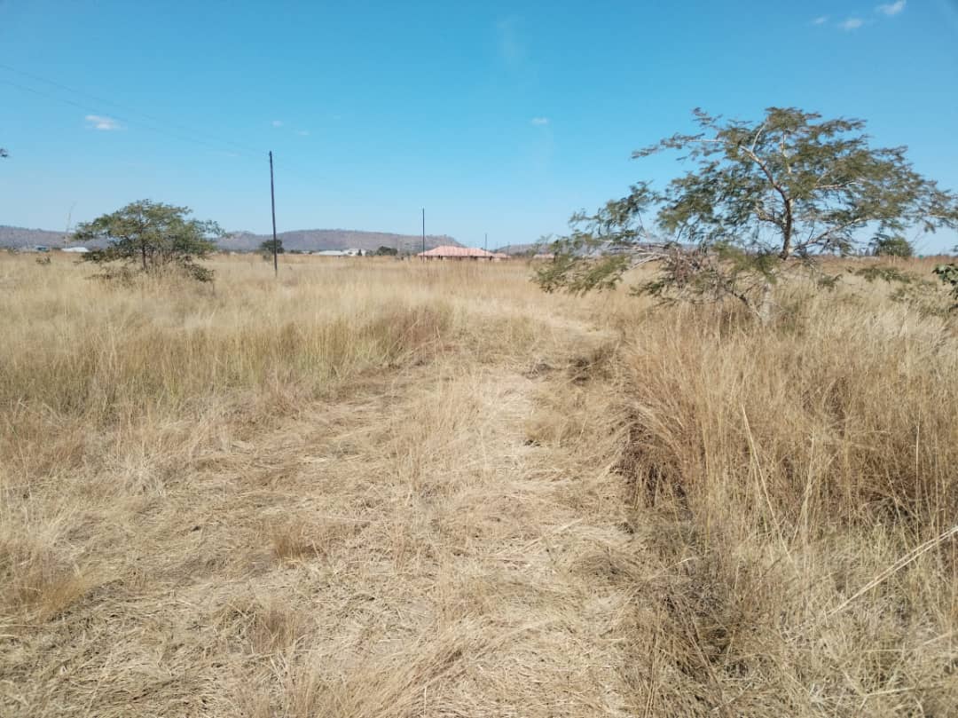 Residential Estate - Main